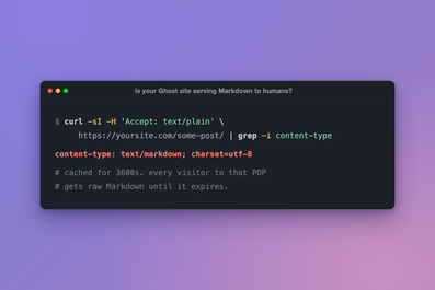 Terminal showing a curl check returning content-type text/markdown