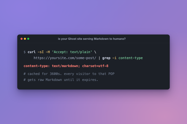 Terminal showing a curl check returning content-type text/markdown